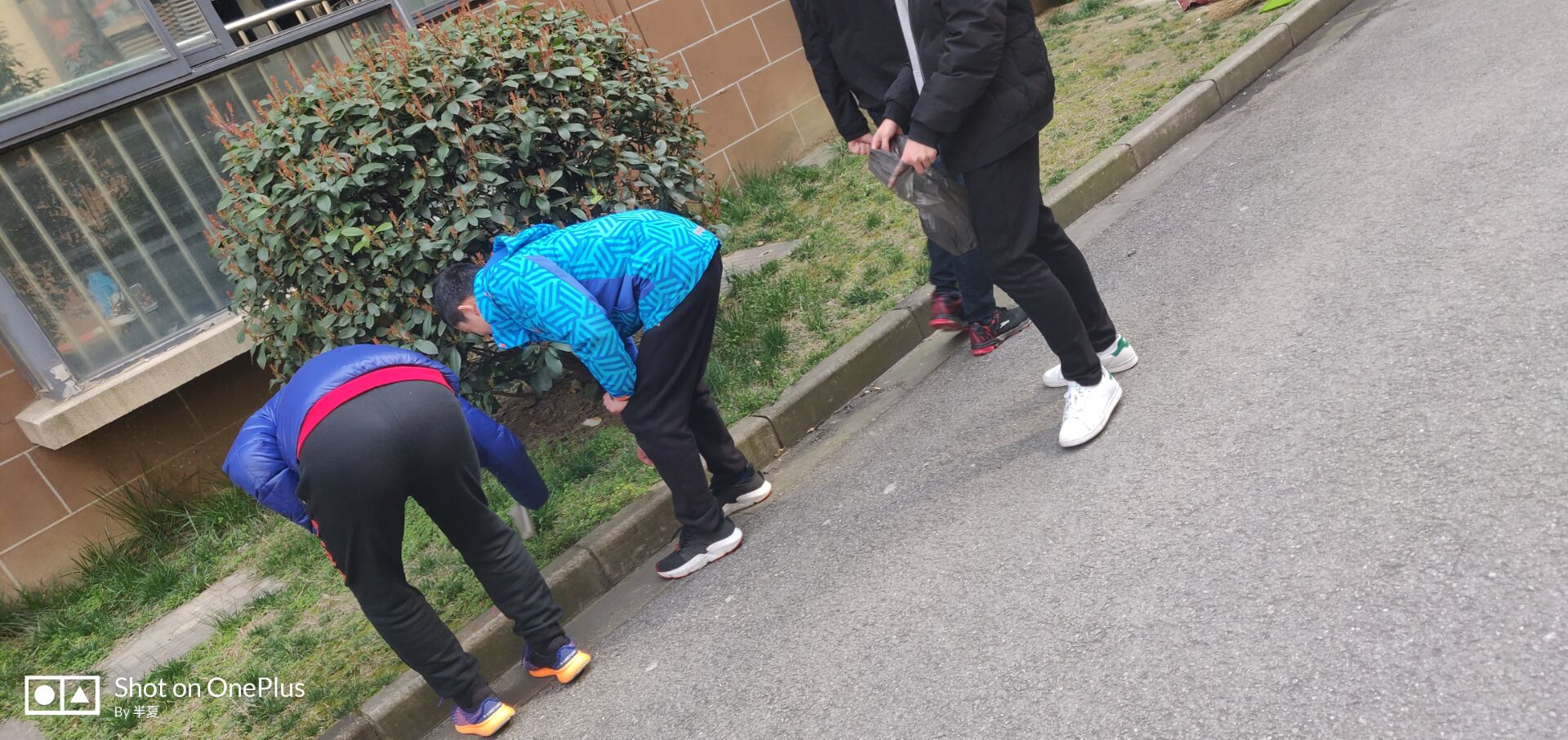 1553137299780079054.jpg 172121.jpg